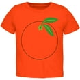 thumbnail image 1 of Halloween Fruit Orange Costume Toddler T Shirt Orange 2T, 1 of 2