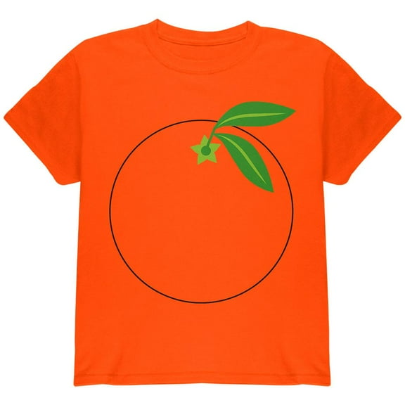 Halloween Fruit Orange Costume Youth T Shirt Orange YXL