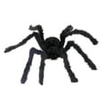 thumbnail image 1 of Halloween Giant Spider Decoration - Soft Hairy Webworm, Realistic Scary Design, 4 Sizes, for Home/Yard/Party, 1 of 6