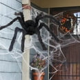 thumbnail image 1 of Halloween Giant Spider Decorations Outdoor Indoor, Realistic Large Scary Hairy Black Webworm Props for Home Yard Garden Party Haunted House Halloween Decor with Giant Web, 1 of 9