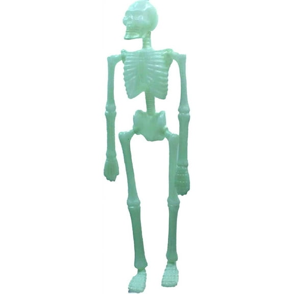 Halloween Glow in Dark Human Skeletons Dangling Articulate Plastic 18H x 8W x 2D