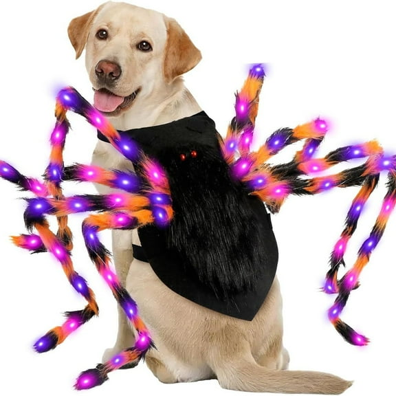 Halloween Glowing Spider Decoration Pet Dress Up Props Cat Dog Transformation Dress Up Costume