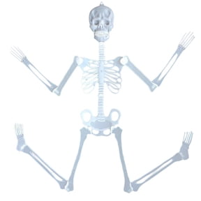Halloween Hanging Luminous Skeleton Decorations, 12.6in Realistic Creepy Glow in Dark Skeleton,Posable Joints Skeletons for Indoor Outdoor Yard Garden Haunted House Party Prop Decor