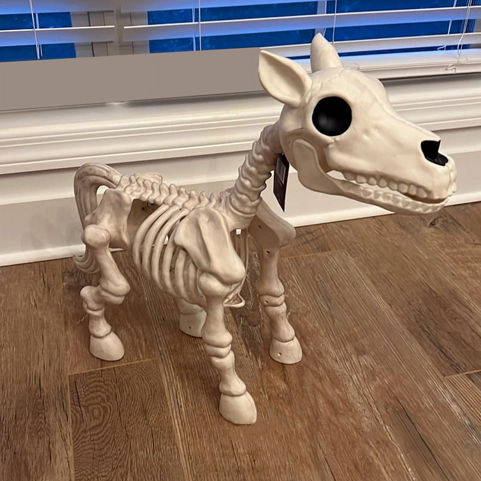 Halloween Horse Skeleton,New Horse Skull Prop,Horse Skeleton Halloween Decor,Skeleton Horse