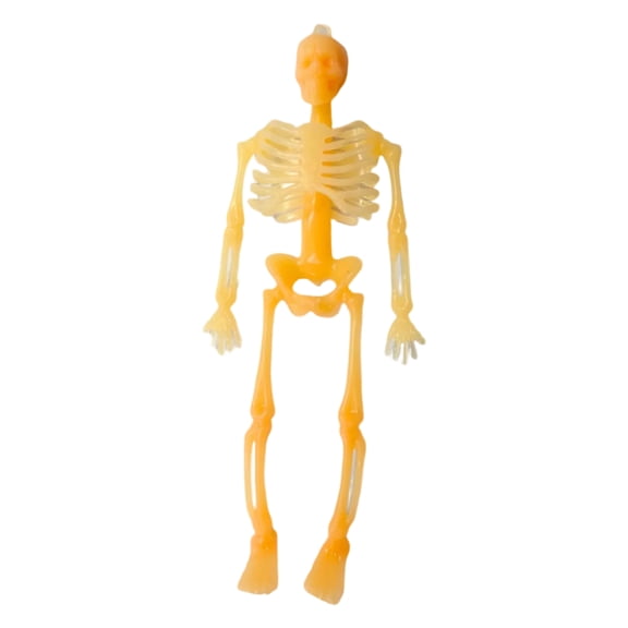 Halloween Human Skeleton Decoration, 6 in Realistic Plastic Skull Bones with Hanging Loop for Haunted House Haunted Yard Tree Decor