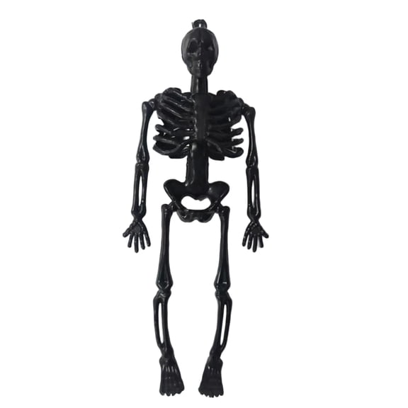 Halloween Human Skeleton Decoration, 6 in Realistic Plastic Skull Bones with Hanging Loop for Haunted House Haunted Yard Tree Decor