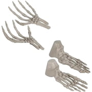 Halloween Human Skeleton Hand and Foot Decor Creepy Spooky Halloween Decorations Gifts Fall Parties Celeberations Set of 4 1 Pair of feet & 1 Pair of Hands