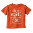 thumbnail image 1 of Halloween I Put A Spell On You Youth T Shirt Tee Girls Infant Toddler Brisco Brands 5T, 1 of 4