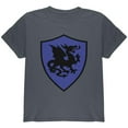 thumbnail image 1 of Halloween Knight Shield Costume Dragon Youth T Shirt Charcoal YMD, 1 of 1