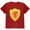 thumbnail image 1 of Halloween Knight Shield Costume Griffin Youth T Shirt Cardinal Red YMD, 1 of 1