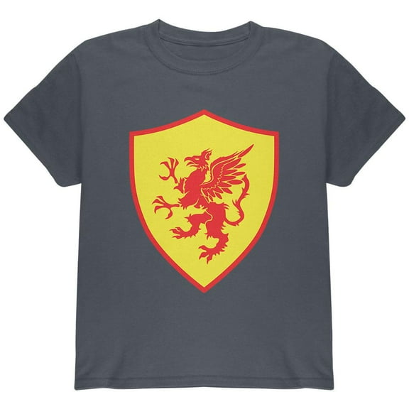 Halloween Knight Shield Costume Griffin Youth T Shirt Charcoal YLG