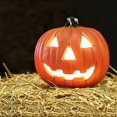 thumbnail image 1 of Halloween LED Pumpkin Decoration, Light Up Jack O Lantern with Realistic Carved Design, Spooky Tabletop Yard Home Party Ornament, 1 of 4