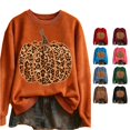 thumbnail image 1 of Halloween Leopard Print Pumpkin Graphic Pullover Crew Neck Long Sleeve Casual Sweatshirt Cozy Fall Winter Layering Top for Women XXL, 1 of 4
