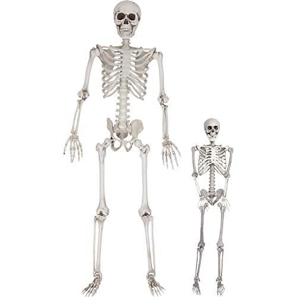 Halloween Life Size Skeleton Value 2 Pack Adult (5' 4") and Child (3