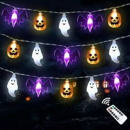 Colisx Purple and Orange Halloween Lights, 66ft 220 LED