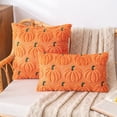 thumbnail image 1 of Halloween Lumbar Throw Pillow Cover Embroidered Pumpkin Plush Rectangular Cushion Case for Sofa Office Chair Autumn Holiday Decor, 12x20 Inch, 1 of 8