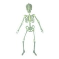 thumbnail image 1 of Halloween Luminous Skeleton Decorations, 1ft Full Body Glow-in-The-Dark Skeleton Rotatable Skeleton Hanging Decors for Halloween Party Haunted House Outdoor Decor, 1 of 4