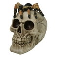 thumbnail image 1 of Halloween Macabre Creepy Crawler Tarantula Arachnid Spider On Skull Figurine, 1 of 8