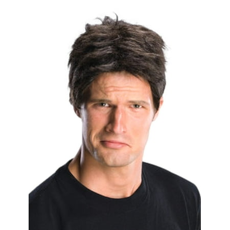 Halloween Men's Brown Idol Judge Wig