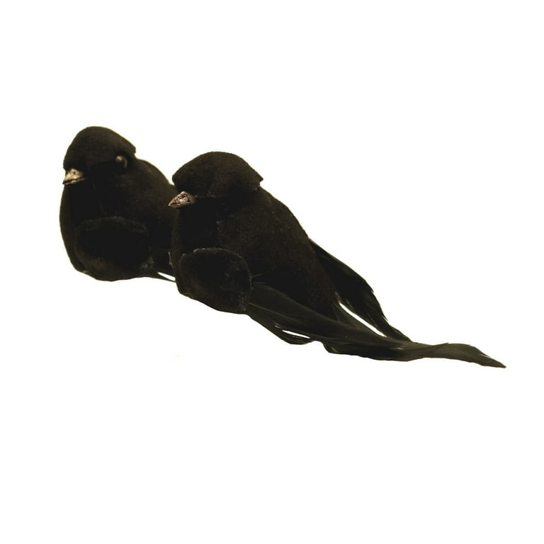 Mini Gothic Black Crows Fairy Garden Miniature Raven Bird House Halloween Decor Mini Gothic Black Crows Fairy Garden Miniature Raven Bird House Halloween Decor