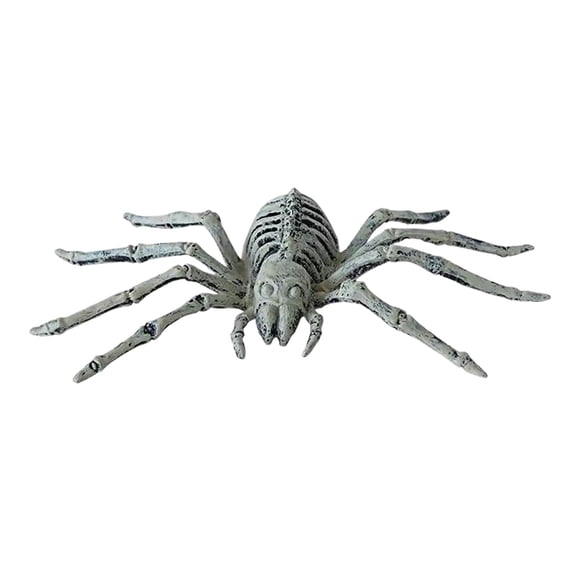 Halloween Mini Skeleton Bone Statues Set, Poseable Spider Scorpion Skeleton Figurines for Haunted House Party Decor, 9 Inch Ornament Display (Spider)