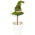 thumbnail image 1 of Halloween Moss Witch Hat Topiary in Cauldron, Green and White, 8.3", 1 of 6