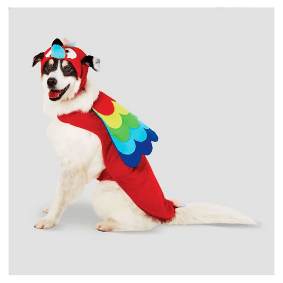 Halloween Parrot Halloween Dog Costume - Large