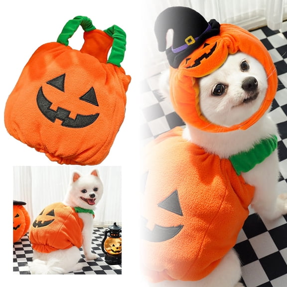 Halloween Party Decorations Pet Clothes - Halloween Christmas Pumpkin Transformation for | Funny Two-Legged Teddy Dog Cat Apparel