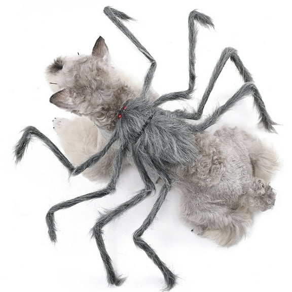 Halloween Pet Clothes Big Spider Transformation Costume Dog Costume Costume Pet Transformation Costume Funny Costume Of The Day Home Decor