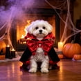 thumbnail image 1 of Halloween Pet Costume for Dogs and Cats, Cute Festival Cos Clothing with Pumpkin Print, Light Soft Cozy Hoodie Dress Up Outfit, Adjustable Size Elastic Fabric, Easy On Off Washable, Style H, 1 of 7