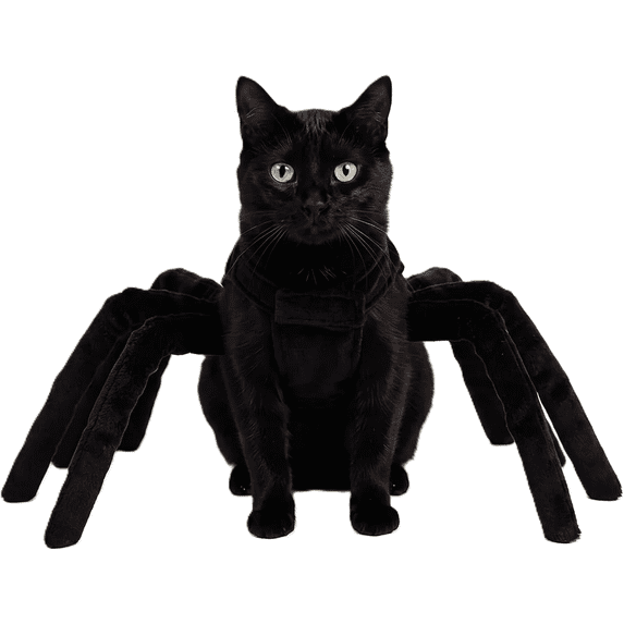 Halloween Pet Costume Funny Spider Outfit with 8 Legs Chest Back Cover for Small Cats(Spider Legs, XL)