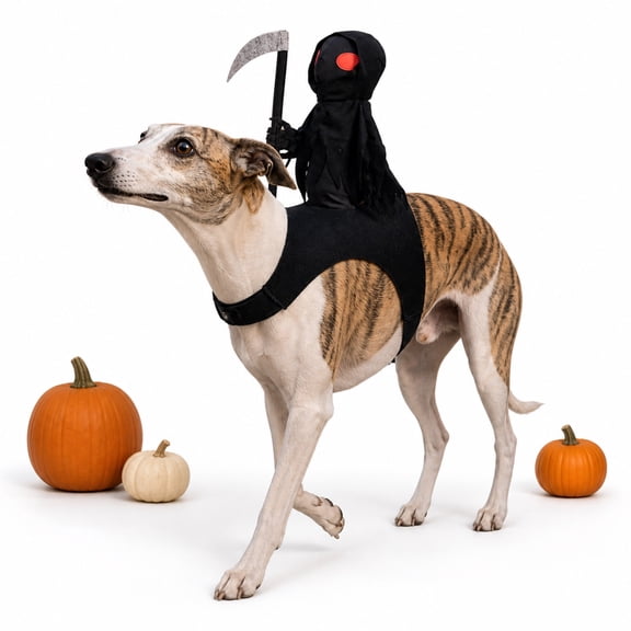 Halloween Pet Costume Grim Reaper Rider Adjustable Harness Soft Plush Scary Costume for Dogs Cats S M L by Mikdeno