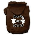 thumbnail image 1 of Halloween Pet, Dog  Cat Hoodie Screen Printed, "Here For The Boos", 1 of 10
