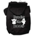 thumbnail image 1 of Halloween Pet, Dog  Cat Hoodie Screen Printed, "Here For The Boos", 1 of 10