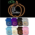 thumbnail image 1 of Halloween Pet Dog  Cat Hoodie Screen Printed, "Lil Punkin", 1 of 8