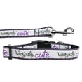 thumbnail image 1 of Halloween Pet Dog  Cat Nylon Collar or Leash, "Wickedly Cute", 1 of 4
