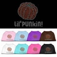 thumbnail image 1 of Halloween Pet Dog  Cat Shirt Rhinestone, "Lil Punkin", 1 of 10