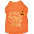 thumbnail image 1 of Halloween Pet Dog  Cat Shirt Screen Printed, "Cutest Pumpkin In The Patch", 1 of 10
