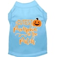 thumbnail image 1 of Halloween Pet Dog  Cat Shirt Screen Printed, "Cutest Pumpkin In The Patch", 1 of 11