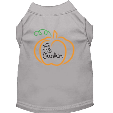 Halloween Pet Dog Cat Shirt Screen Printed, "Lil Punkin"