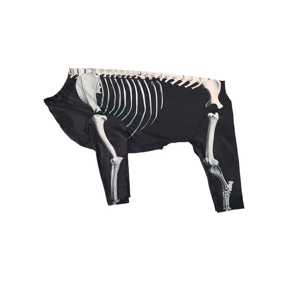 Halloween Pet Dog Skeleton Costume, Full Body Skeleton Bones Printed Four-Leg Jumpsuit Clothes Accessories for Medium Large Dogs Cosplay Photos Black S