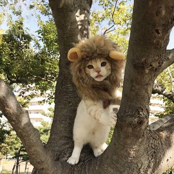 Halloween Pet Toy Set for Puppies and Cats with Adorable Ears Accessories