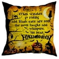 thumbnail image 1 of Halloween Pillows, Halloween Decoration Back Cat Moon Pumpkin Pillow Insert, 18X18, 1 of 5