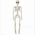 thumbnail image 1 of Halloween Plastic Skeleton, 16" Posable Skeleton Decoration, Halloween Full Body Skeleton with Movable Joints, Realistic Pumpkin Skeletons for Halloween Haunted House Graveyard Props Decor, 1 of 2