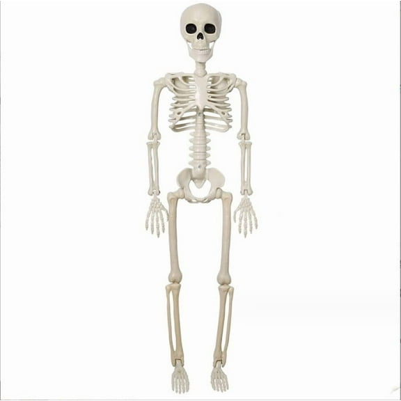 Halloween Plastic Skeleton, 16" Posable Skeleton Decoration, Halloween Full Body Skeleton with Movable Joints, Realistic Pumpkin Skeletons for Halloween Haunted House Graveyard Props Decor