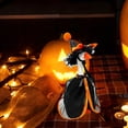 thumbnail image 1 of Halloween Porch Goose Outfit, Holiday Costume For Yard And Garden, Witch Hat And Dress Halloween Costume,One Size, 1 of 7