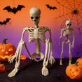 thumbnail image 1 of Halloween Posable Skeleton Decorations 90cm Life Size Human Skeleton Ornament with Movable Joints Hanging Skull Decor for Haunted House Yard Indoor Outdoor Halloween Party Decoration, 1 of 7