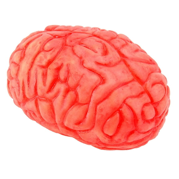Niceauty Halloween Prop Scary Fake Human Brain Body Parts for Halloween Party Supplies
