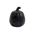 thumbnail image 1 of Halloween Pumpkin Decor Black Ceramic Pumpkin Gothic Halloween Decor Spooky Accent for Indoor Outdoor Home Porch Table Party Fall Arrangements 1 Pack, 1 of 5