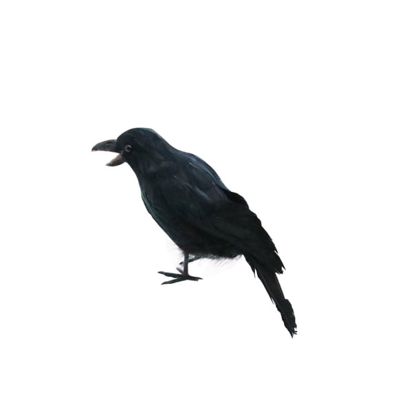 Halloween Realistic Crow Large Black Standing For Halloween Birds Lifelike For Yard Garden Patio